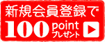 ���������100�ݥ���ȥץ쥼���