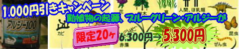�֥롼���꡼�󥢥른����1,000�߰��������ڡ���