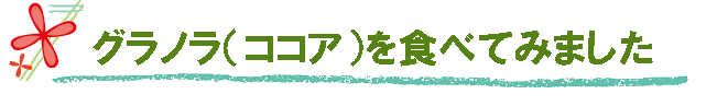 数種類の穀類がザクザクと美味しい【オーガニック グラノラ(グラノーラ)】