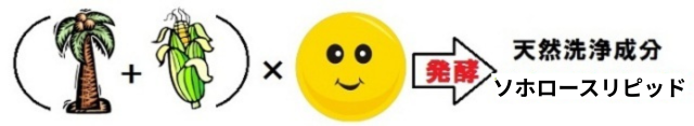 ソホロースリピッドとは、植物油(パーム油)と糖を栄養にして、酵母が発酵により生み出した天然洗浄成分。